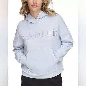 Calvin Klein Hoodie/Metalic Logo